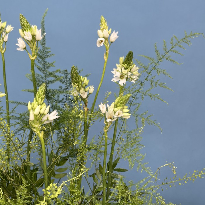 Настольная композиция Лесная поляна